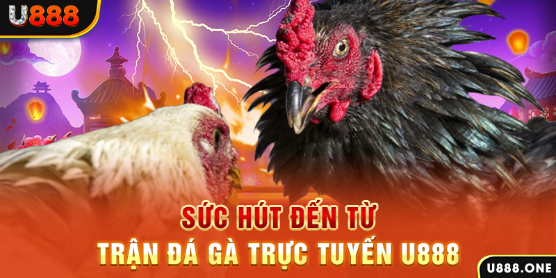 33win2 đá gà trực tiếp c1