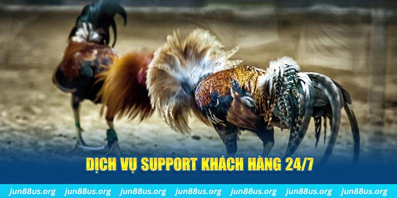 33win2 ÁT CHỦ BÀI GIÀNH LẤY ZHUANG NIUNIU ( XEM 4 LÁ )