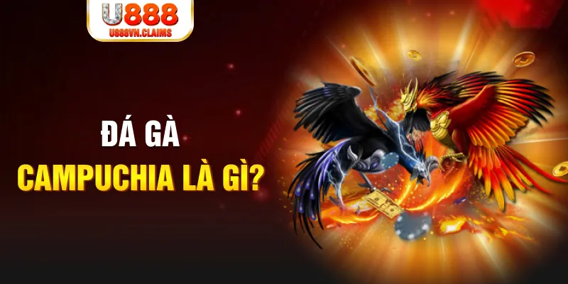 33win2 bắn cá vàng h5