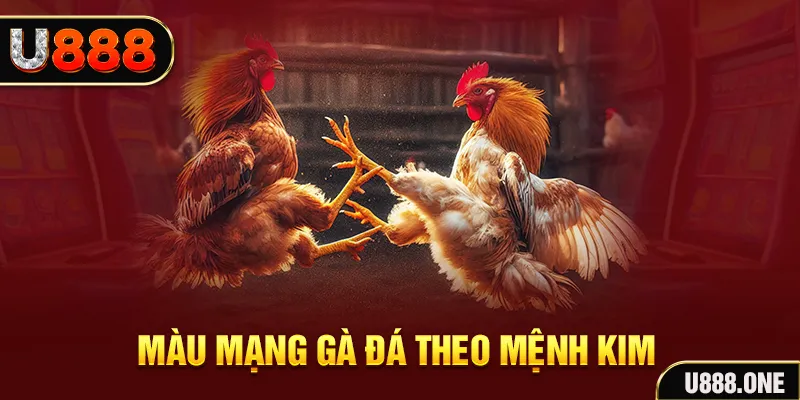 33win2 Cỡ bảy