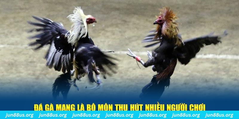 33win2 bắn cá au88