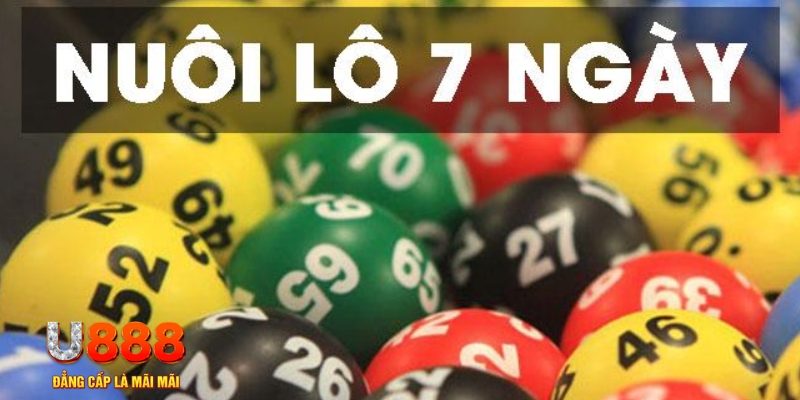 33win2 what are slot machines