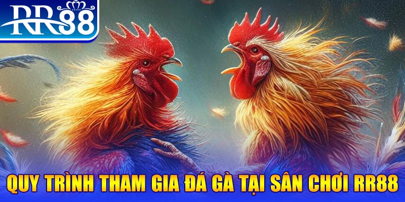 33win2 đá gà cam 67