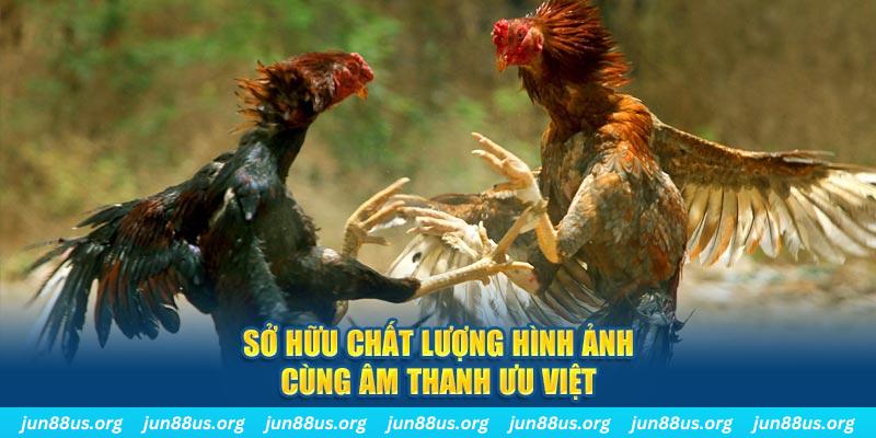 33win2 PP Điện Tử
