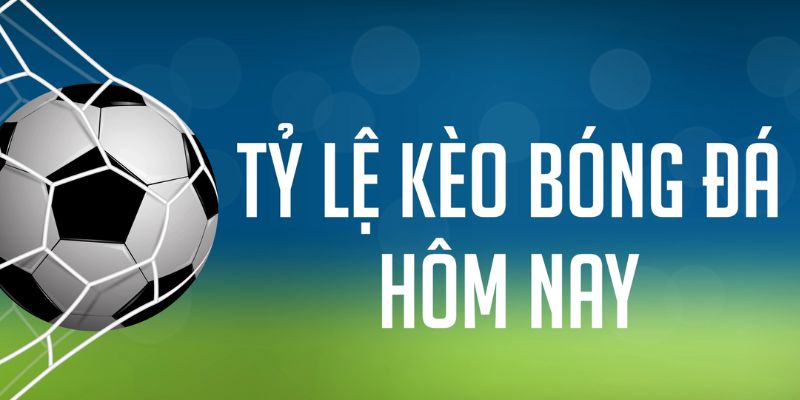 33win2 gà chọi c1 mới nhất