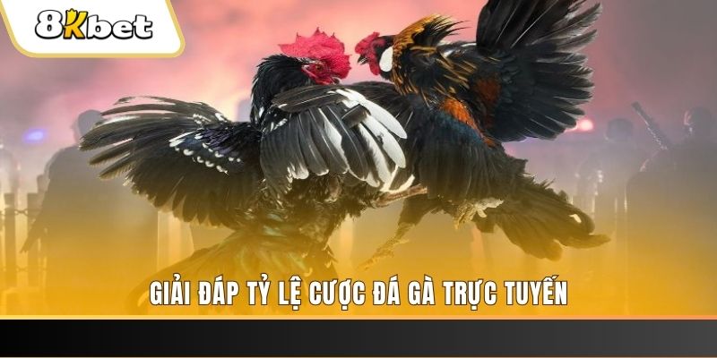 33win2 xổ số đài miền trung