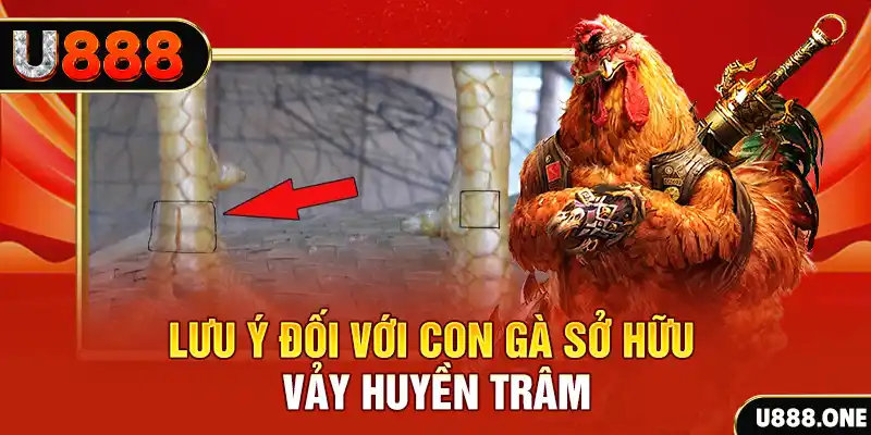 33win2 kết quả xổ số miền nam hôm nay