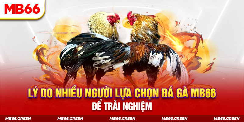 33win2 xổ số miền bắc thứ bảy hàng tuần