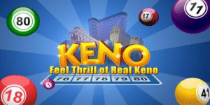 33win2 gà chọi c1 thomo