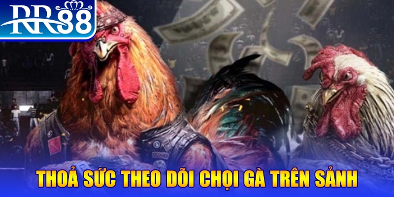 33win2 trực tiếp đá gà c1