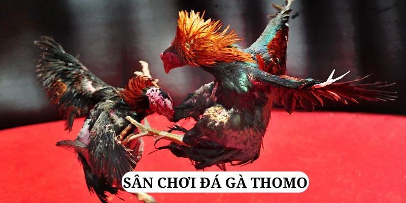 33win2 trực tiếp xổ số miền bắc